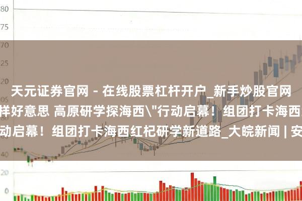 天元证券官网 - 在线股票杠杆开户_新手炒股官网配资注册 ＂红杞表象别样好意思 高原研学探海西＂行动启幕！组团打卡海西红杞研学新道路_大皖新闻 | 安徽网
